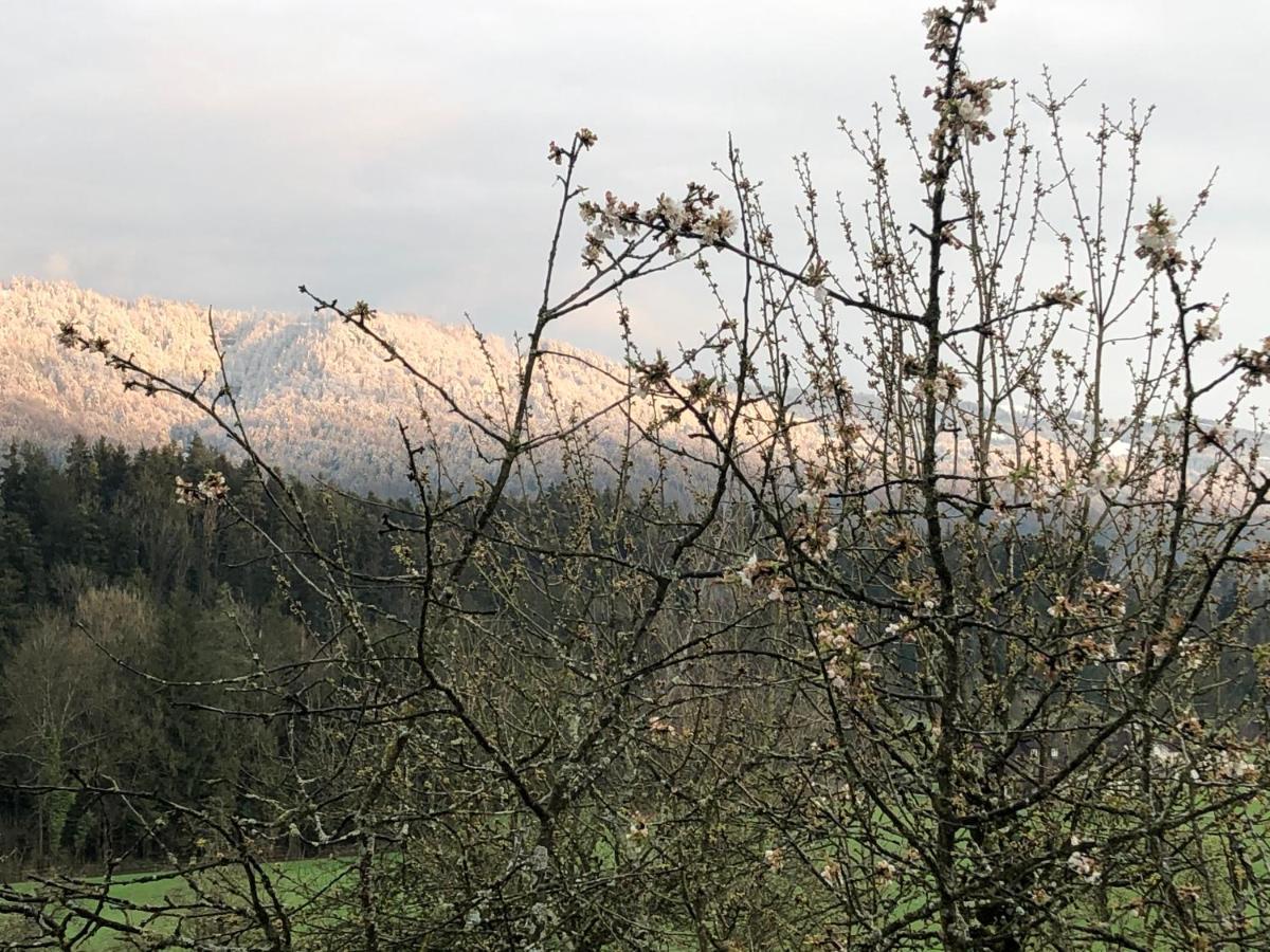 Ferienwohnung Samys Nahe Lindau Am Bodensee Sigmarszell Εξωτερικό φωτογραφία
